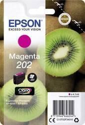 C13T02F34010